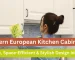 Modern European Kitchen Cabinets